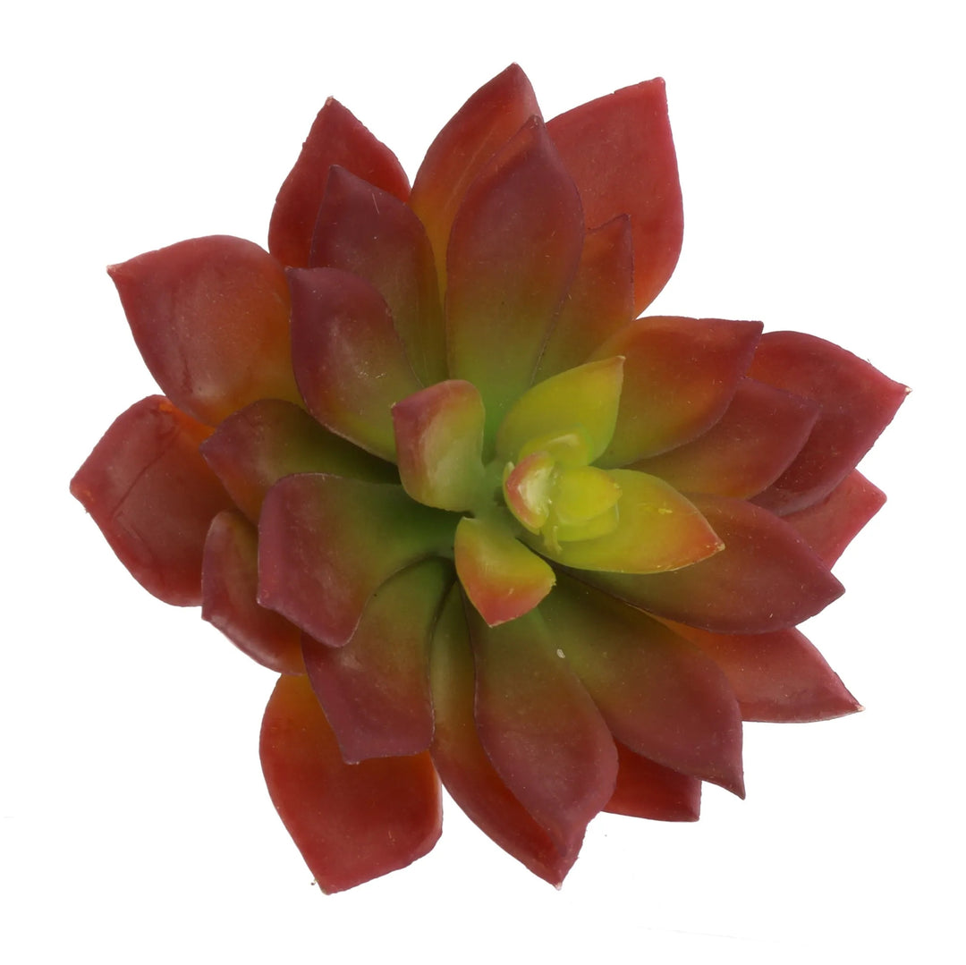 SMALL RED FAUX ECHEVERIA SUCCULENT - Kingfisher Road - Online Boutique