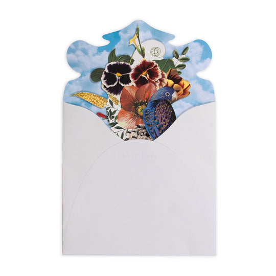 CL NOTECARDS BOX BIRDS SINFONIA - Kingfisher Road - Online Boutique