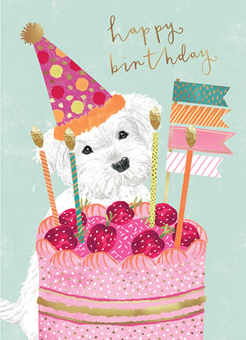 PUP WITH STRAWBERRY CAKE - Kingfisher Road - Online Boutique