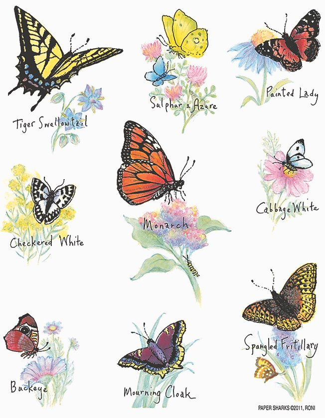 Butterfly Dish Towel - Kingfisher Road - Online Boutique