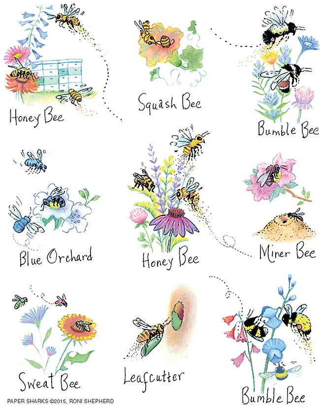 Nature Bees Dish Towel - Kingfisher Road - Online Boutique