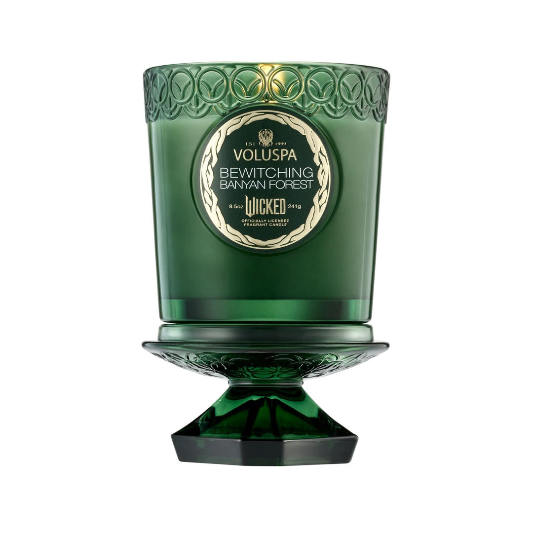 BEWITCHING BANYAN 8.5oz BOXED CANDLE - Kingfisher Road - Online Boutique