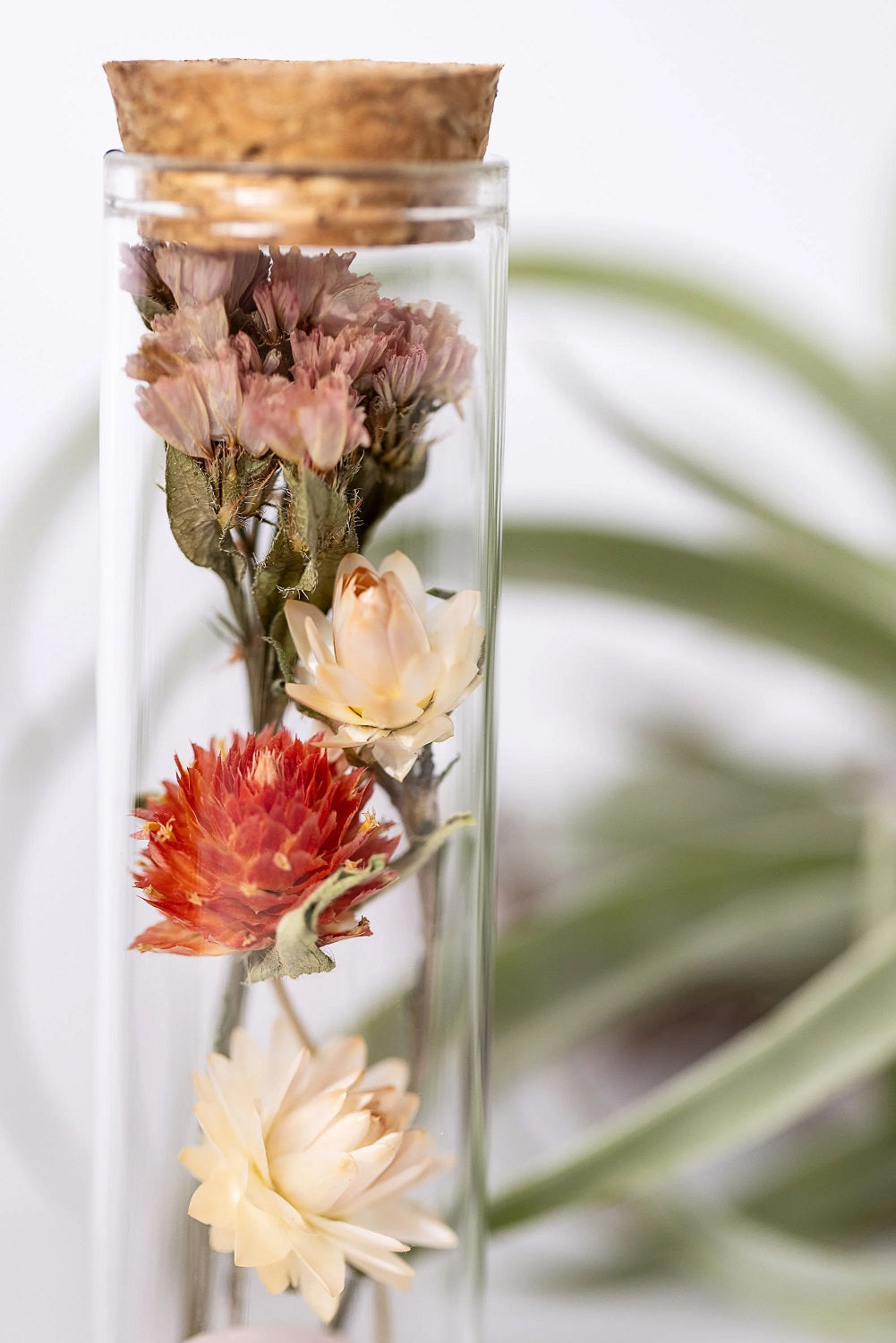 MINI EARTH VESSEL-ROSE QUARTZ - Kingfisher Road - Online Boutique