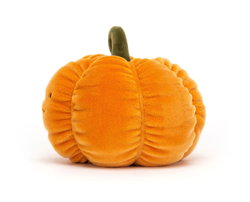 VIVACIOUS VEGETABLE PUMPKIN