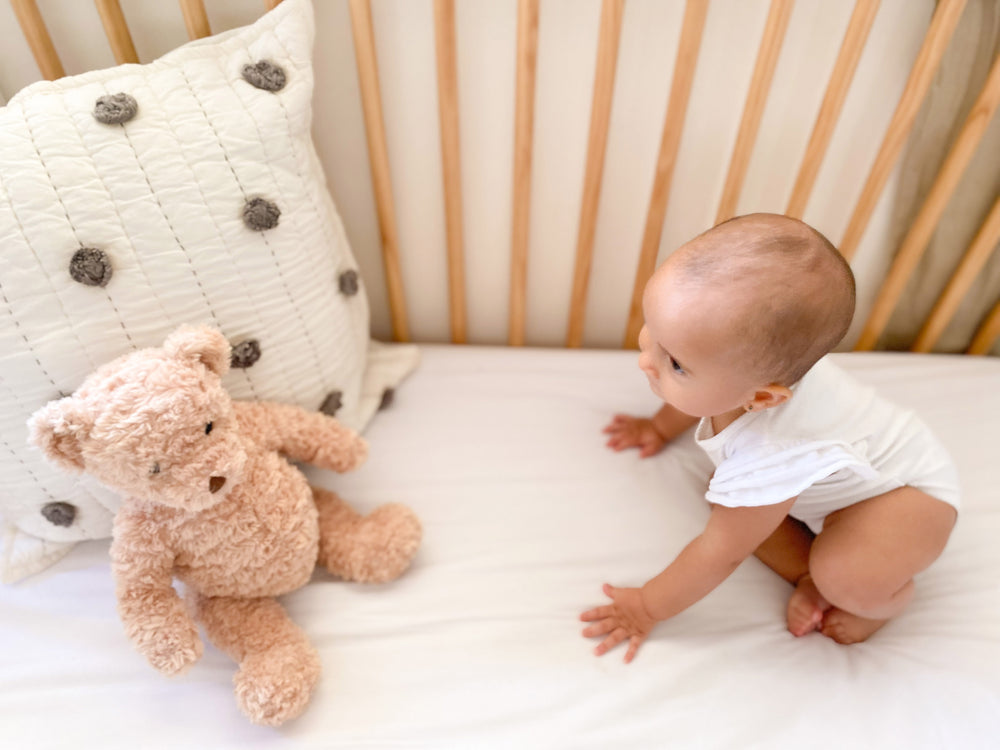 MR.CUDDLESWORTH BEAR - Kingfisher Road - Online Boutique