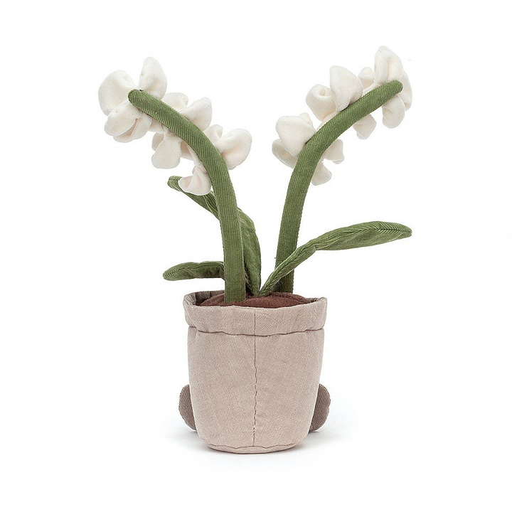 AMUSEABLE CREAM ORCHID - Kingfisher Road - Online Boutique