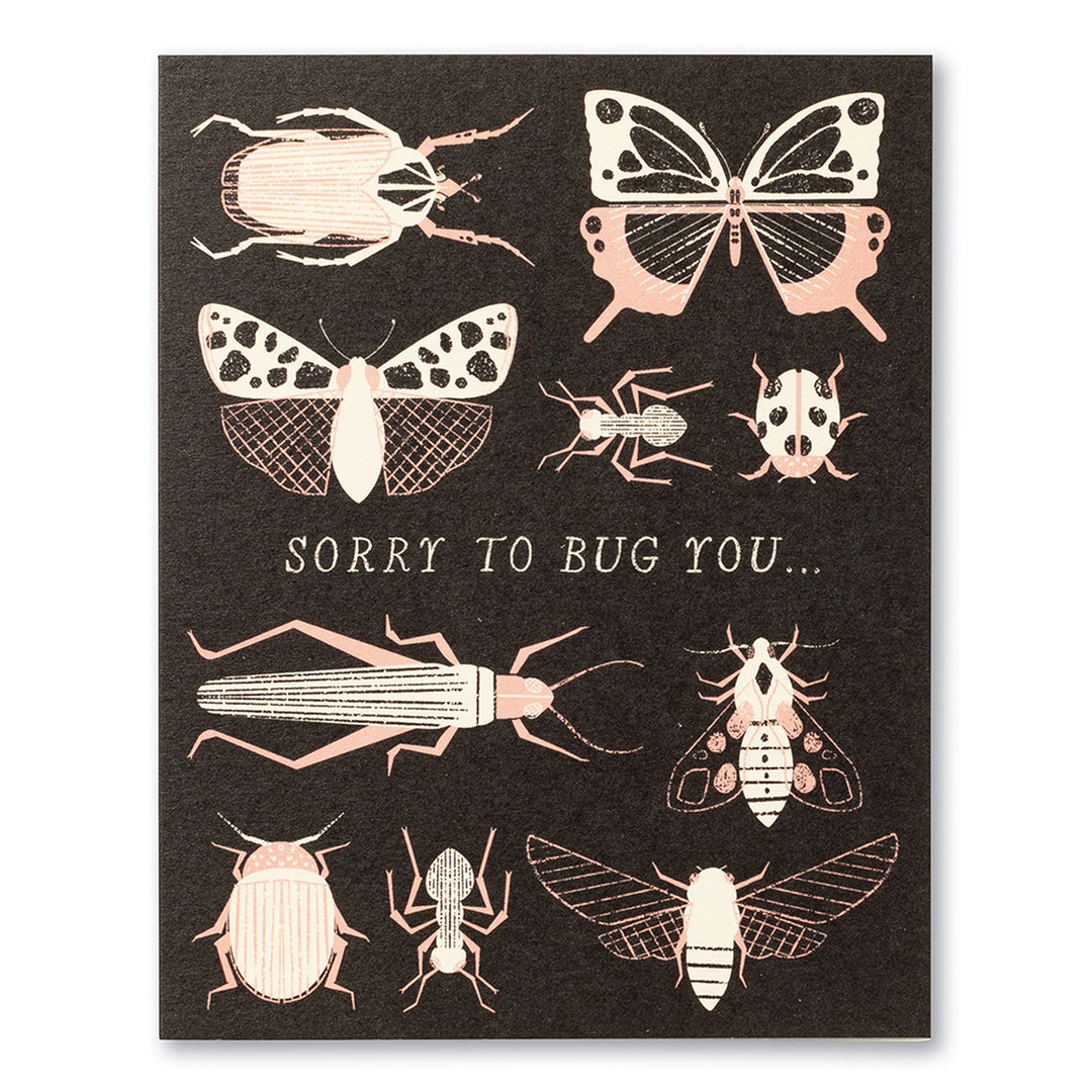 LM-SORRY TO BUG YOU - Kingfisher Road - Online Boutique