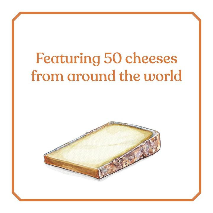 CHEESE, ILLUSTRATED - Kingfisher Road - Online Boutique