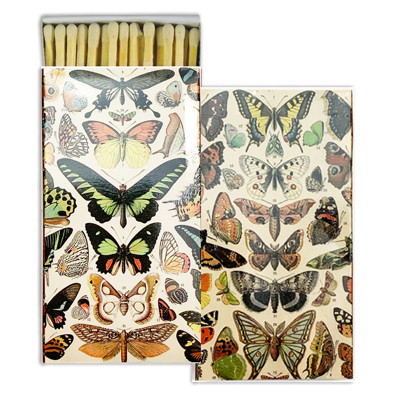 MATCHES-BUTTERFLY SPECIMENS - Kingfisher Road - Online Boutique