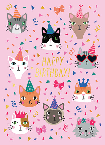 PARTY CATS BIRTHDAY - Kingfisher Road - Online Boutique