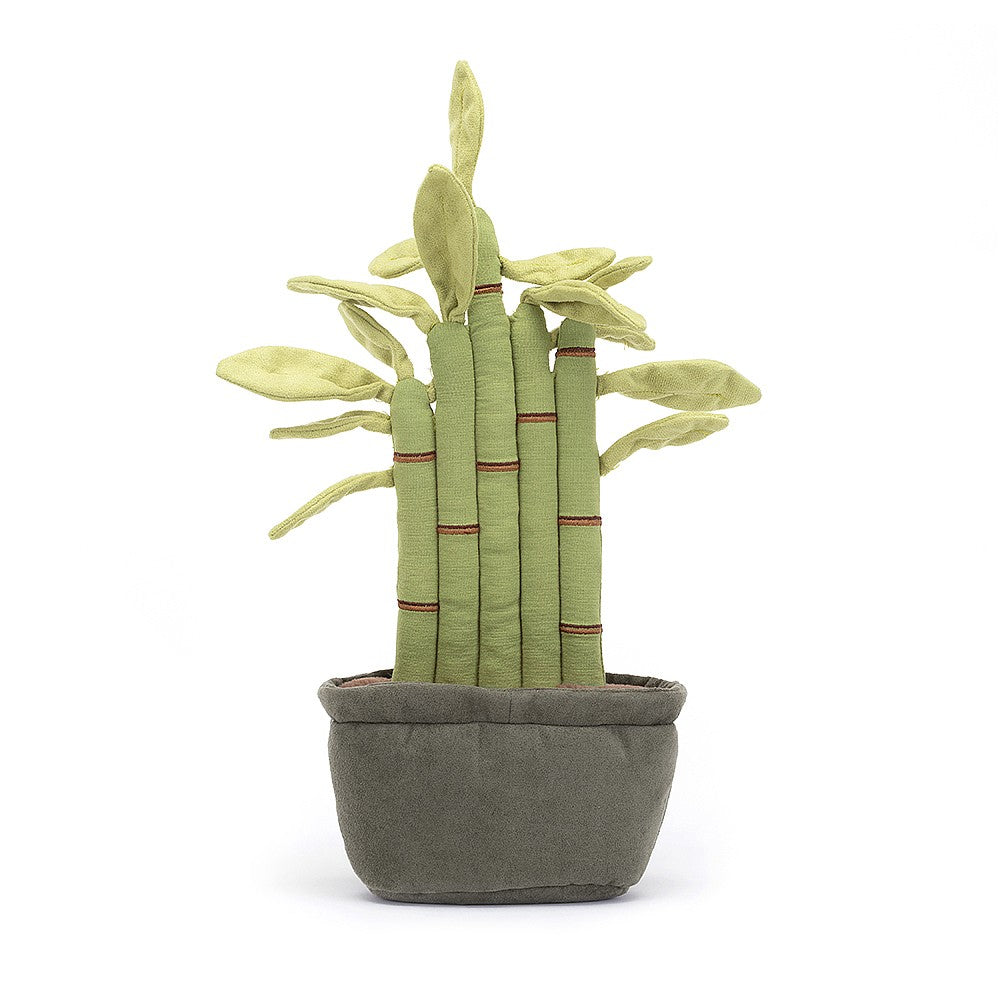 AMUSEABLE POTTED BAMBOO - Kingfisher Road - Online Boutique