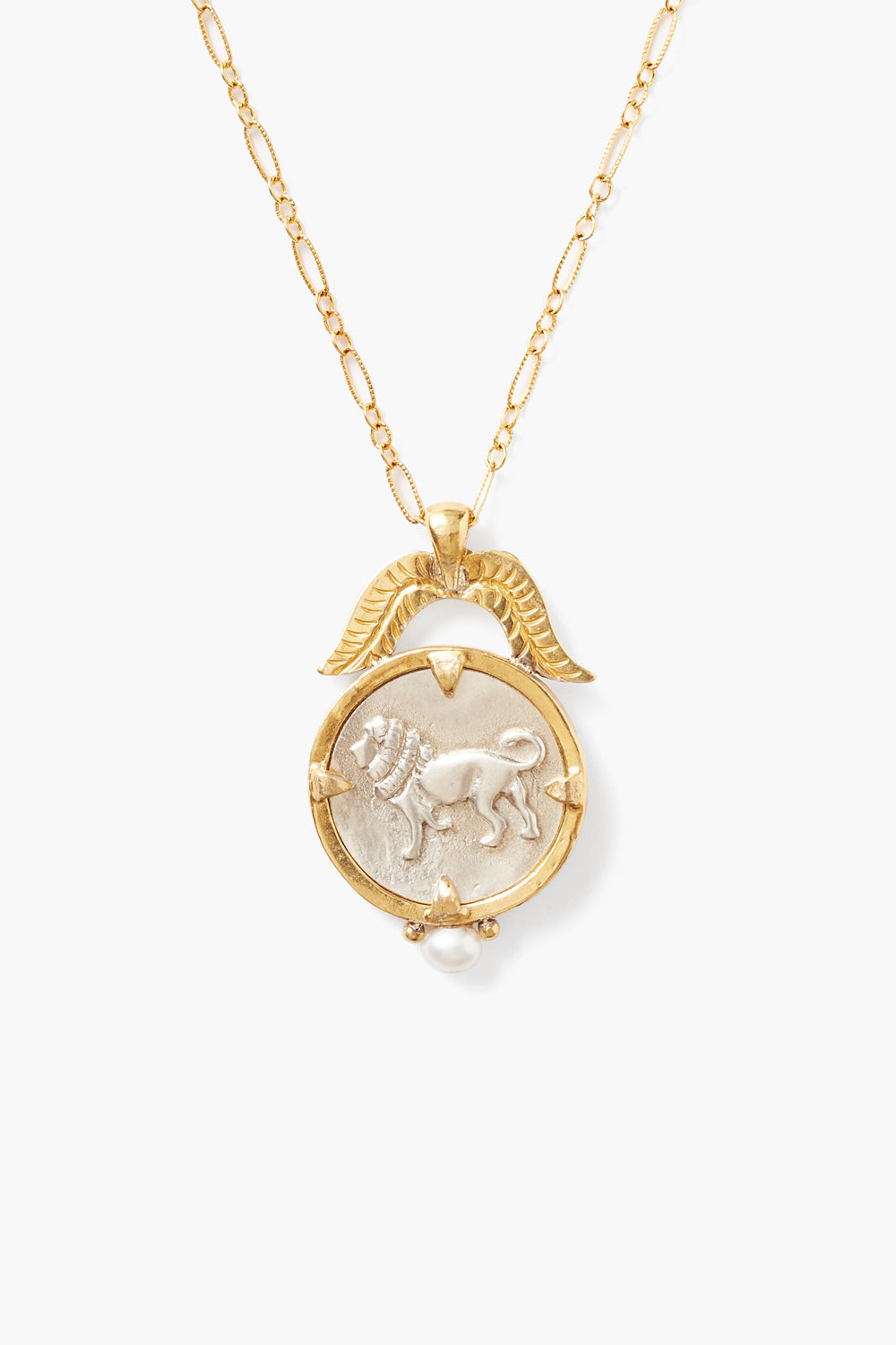 YELLOW GOLD MIX ADJUSTABLE LION COIN CHAIN NECKLACE - Kingfisher Road - Online Boutique