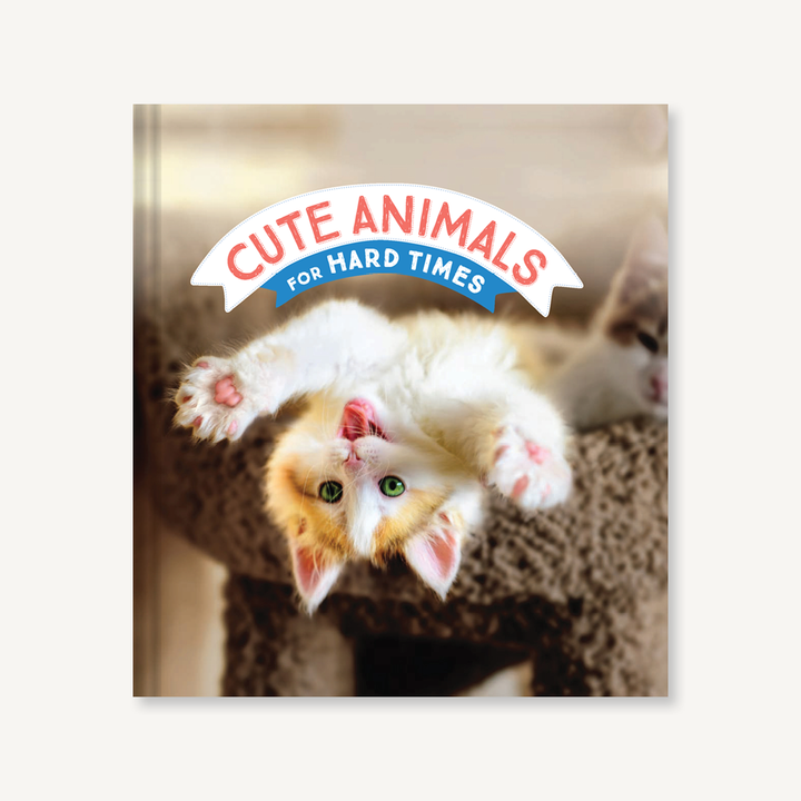 CUTE ANIMALS FOR HARD TIMES - Kingfisher Road - Online Boutique
