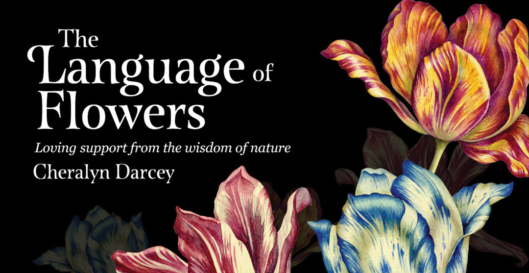 THE LANGUAGE OF FLOWERS - Kingfisher Road - Online Boutique