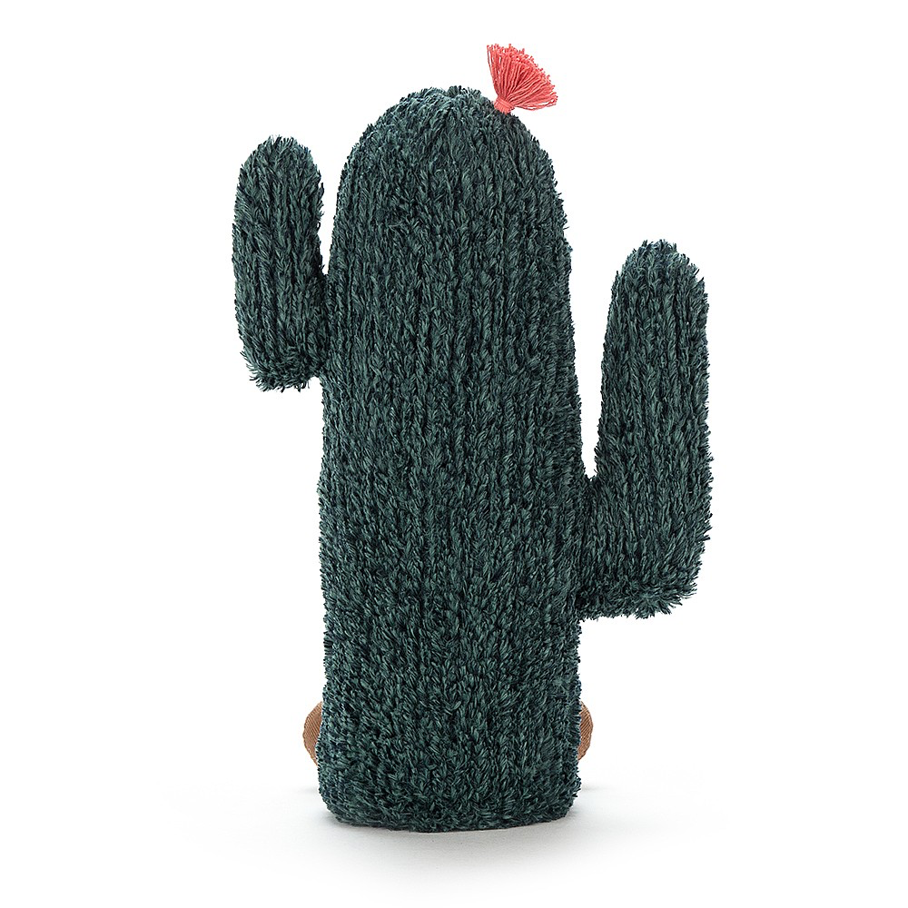 Amuseable Cactus - Kingfisher Road - Online Boutique