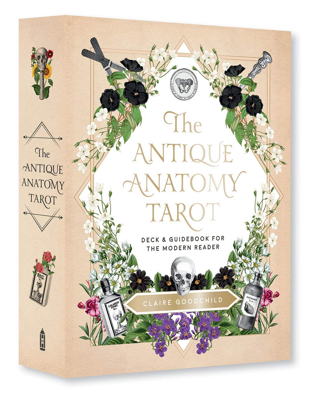 ANTIQUE ANATOMY TAROT KIT - Kingfisher Road - Online Boutique