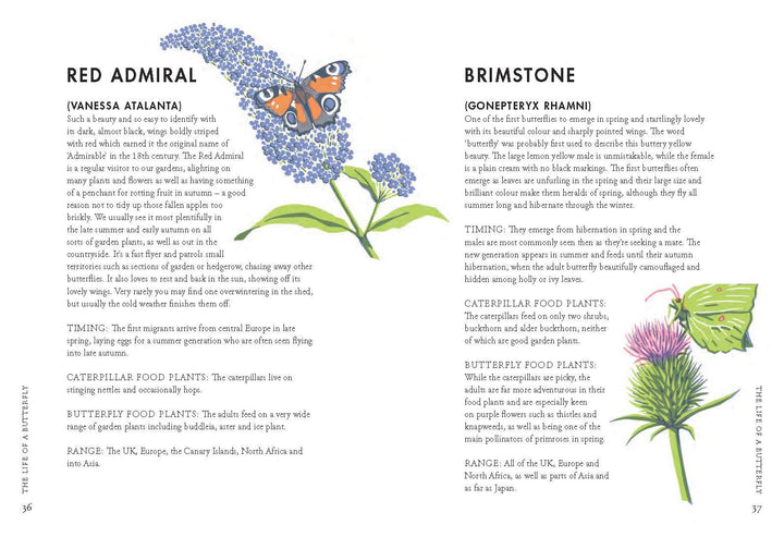 Planting for Butterflies - Kingfisher Road - Online Boutique