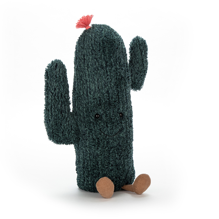 Amuseable Cactus - Kingfisher Road - Online Boutique