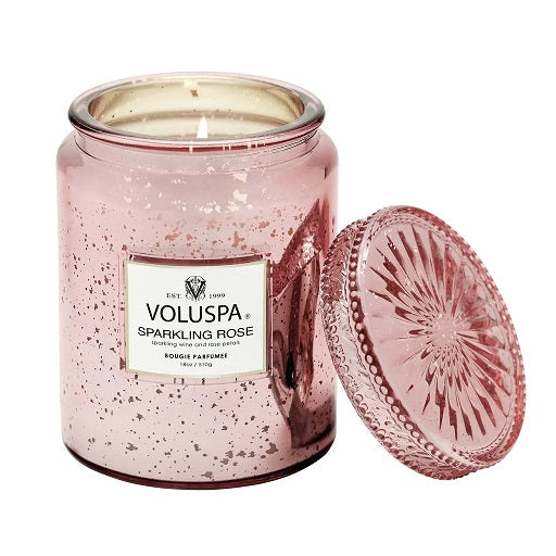 SPARKLING ROSE SPECKLE JAR CANDLE - 18oz - Kingfisher Road - Online Boutique