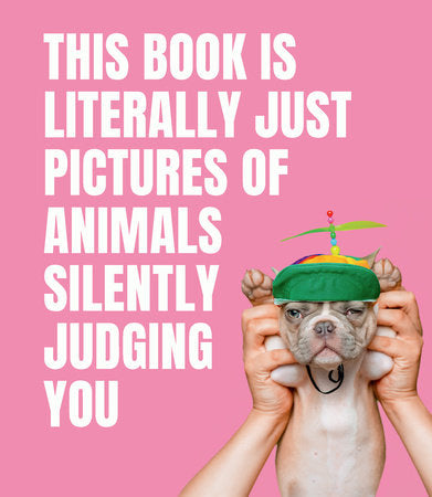 PICTURES ANIMALS JUDGING YOU - Kingfisher Road - Online Boutique