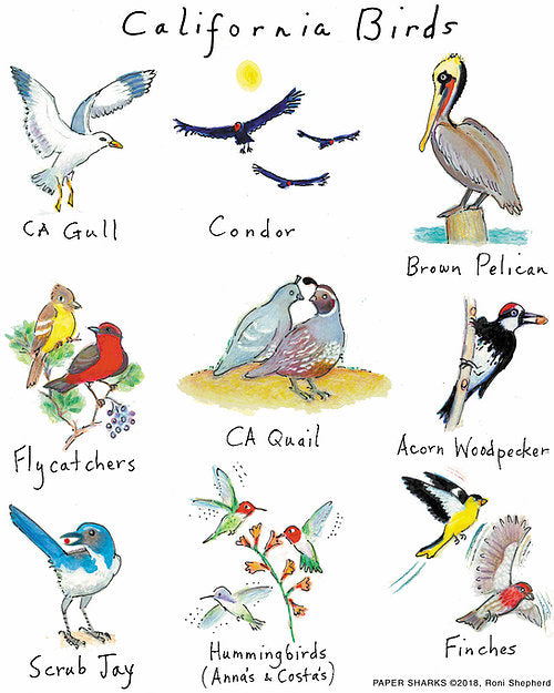 CALIFORNIA BIRDS - Kingfisher Road - Online Boutique