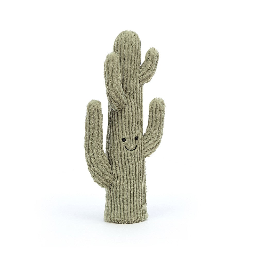 AMUSEABLE DESERT CACTUS SMALL - Kingfisher Road - Online Boutique