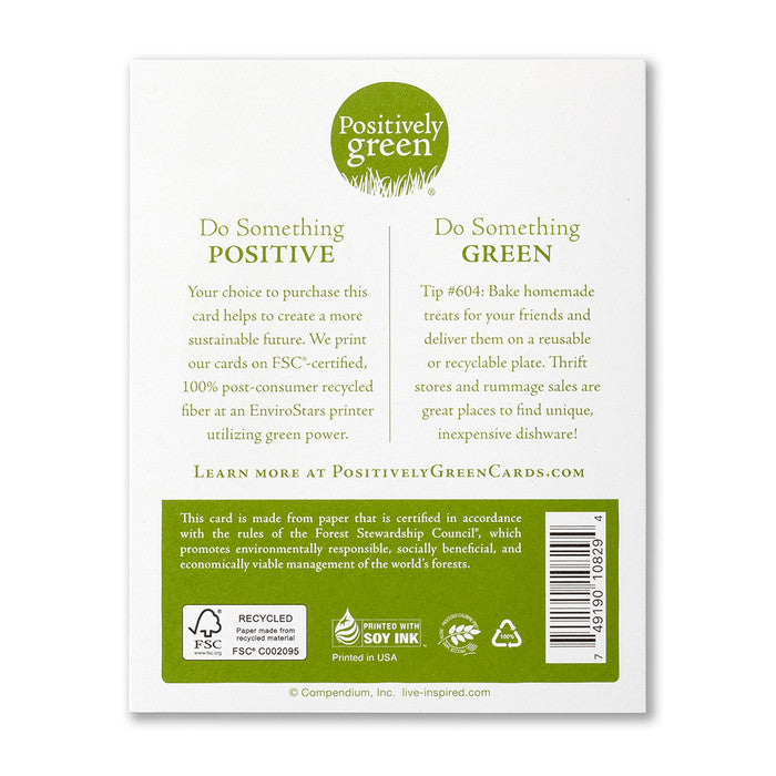 PG-REJOICE EVERMORE - Kingfisher Road - Online Boutique