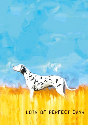 DALMATIAN - Kingfisher Road - Online Boutique