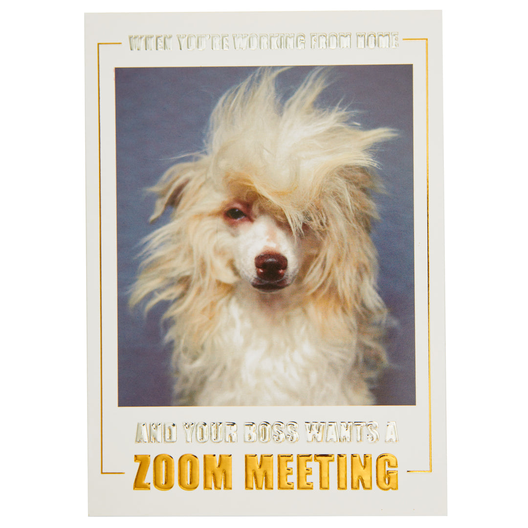 ZOOM MEETING DOG - Kingfisher Road - Online Boutique