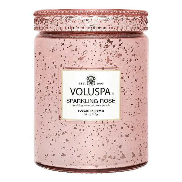 SPARKLING ROSE SPECKLE JAR CANDLE - 18oz - Kingfisher Road - Online Boutique