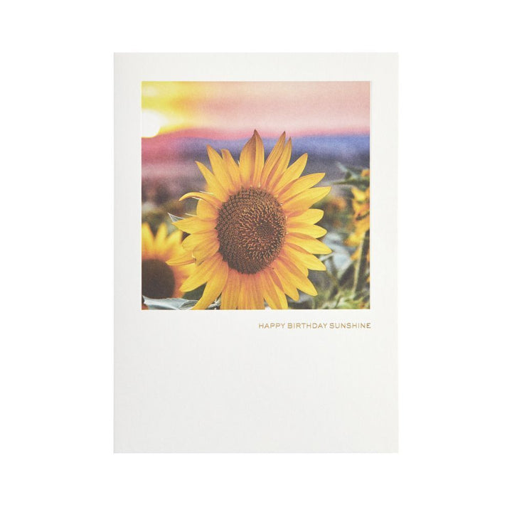 SUNFLOWER - Kingfisher Road - Online Boutique