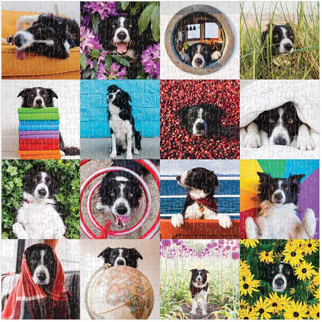 500 PC PUZZLE: MOMO THE DOG - Kingfisher Road - Online Boutique