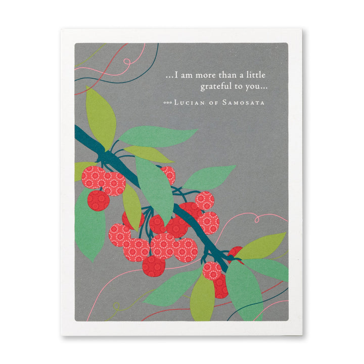 I AM MORE THAN A LITTLE GRATEFUL CARD - Kingfisher Road - Online Boutique
