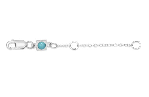 2" NECKLACE EXTENDER-STERLING SILVER - Kingfisher Road - Online Boutique