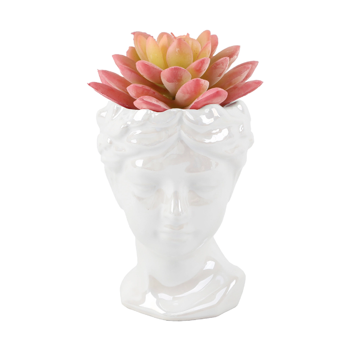 RED FAUX SUCCULENT IN PEARL WHITE FACE VASE - Kingfisher Road - Online Boutique
