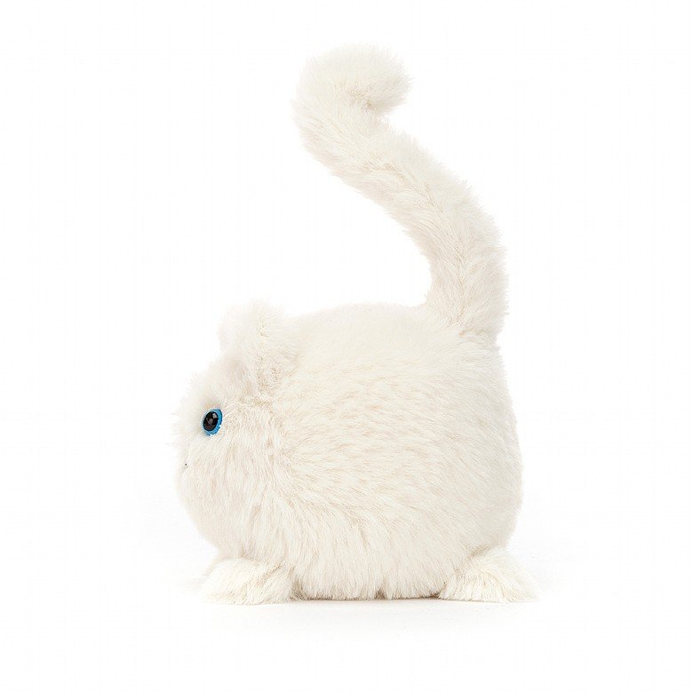 CREAM KITTEN CABOODLE - Kingfisher Road - Online Boutique