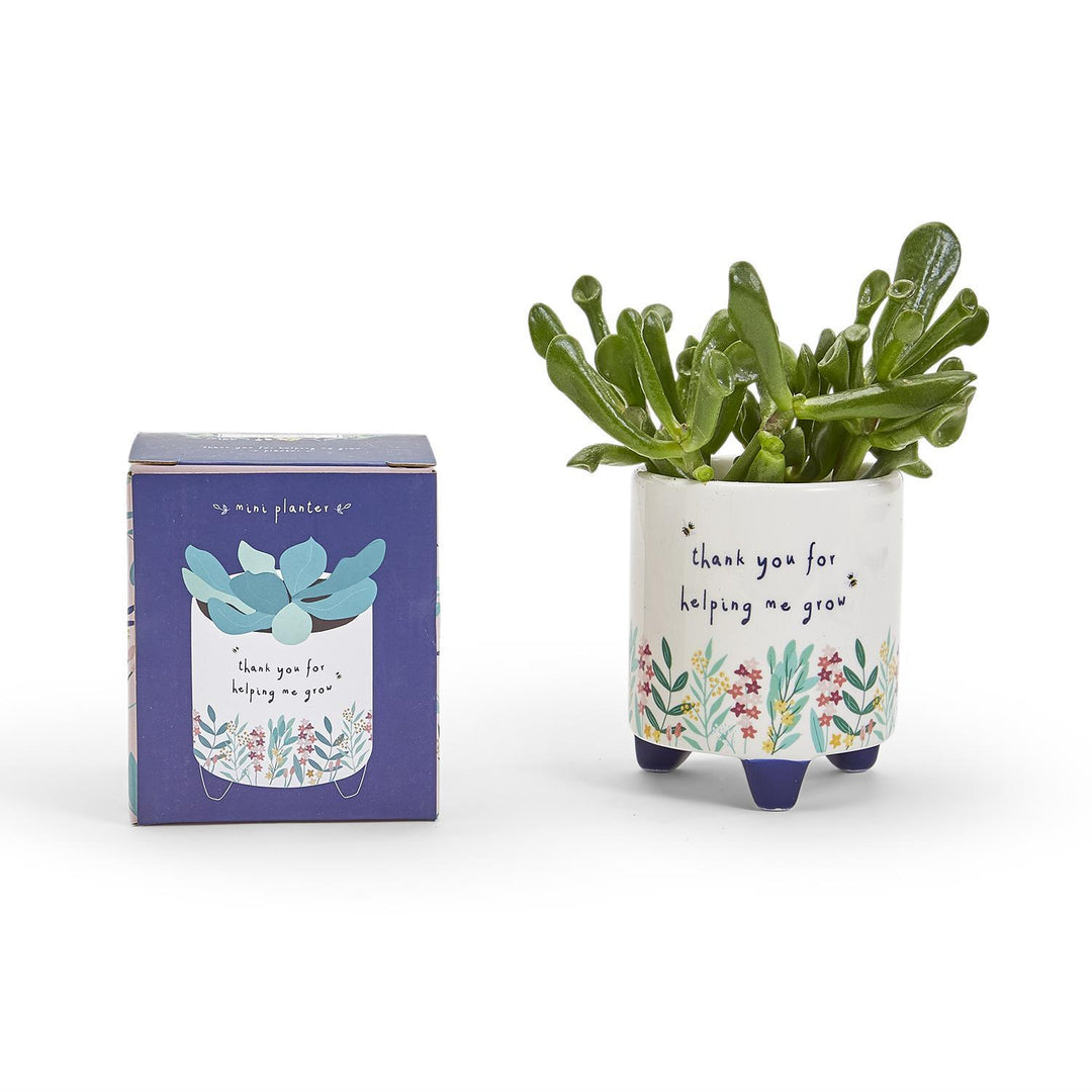 "THANK YOU FOR HELPING ME GROW" PLANTER - Kingfisher Road - Online Boutique