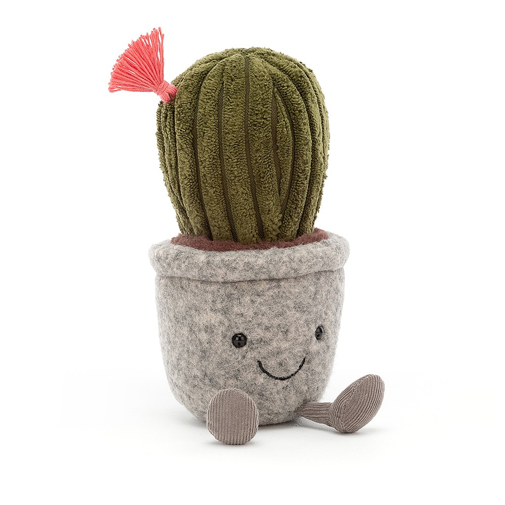 Silly Succulent Cactus - Kingfisher Road - Online Boutique