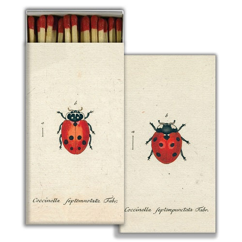 RED LADY BUG MATCHES - Kingfisher Road - Online Boutique