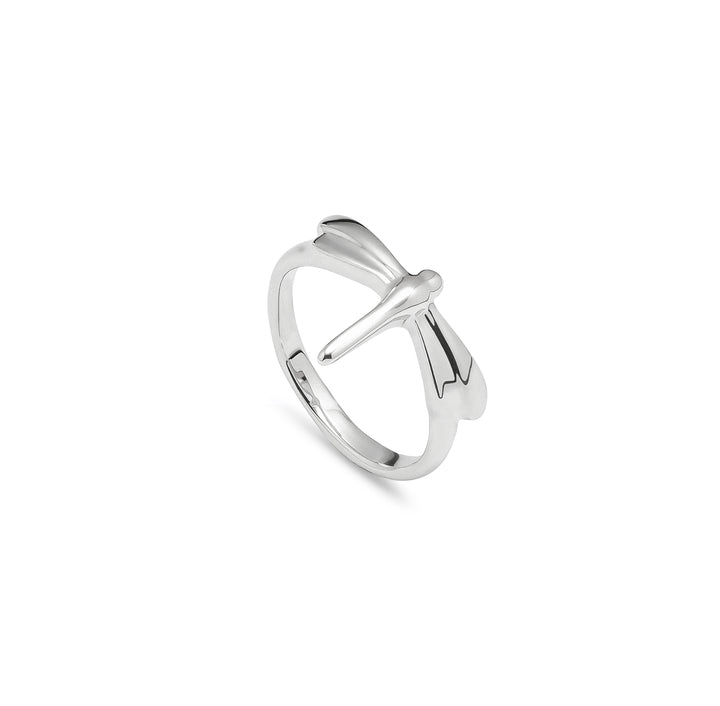 FORTUNE RING - SILVER - Kingfisher Road - Online Boutique
