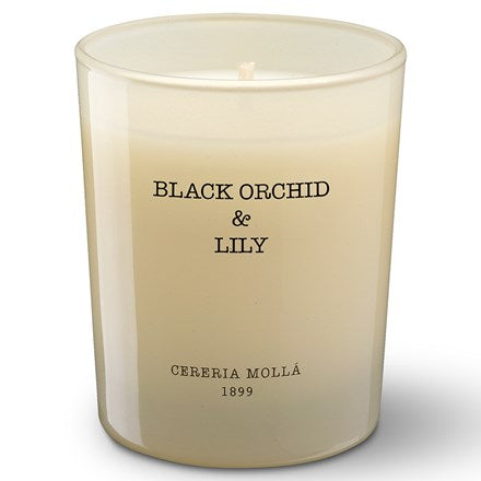 2.6oz BLACK ORCHID & LILY IVORY CANDLE - Kingfisher Road - Online Boutique