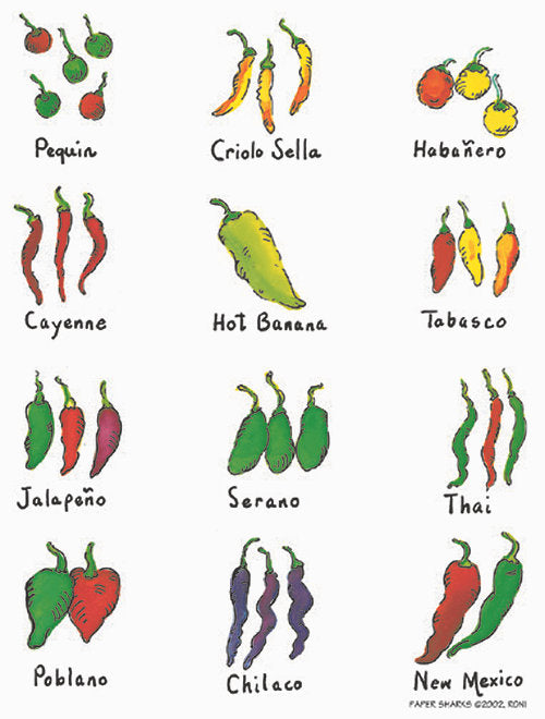 CHILES ON THE VINE - Kingfisher Road - Online Boutique