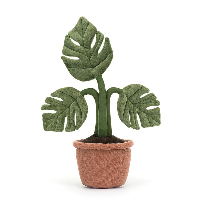 AMUSEABLE MONSTERA PLANT - Kingfisher Road - Online Boutique