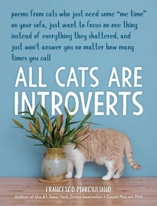 ALL CATS ARE INTROVERTS - Kingfisher Road - Online Boutique