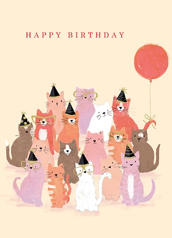 CAT PARTY -BIRTHDAY - Kingfisher Road - Online Boutique