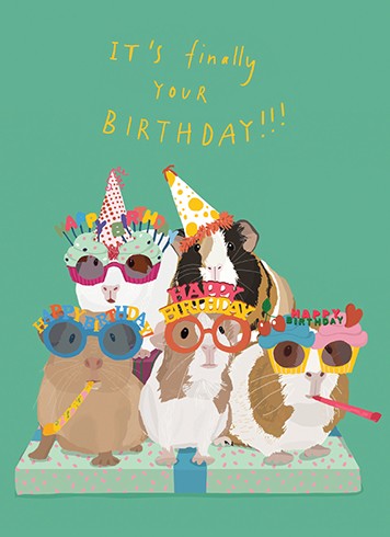 GUINEA PIG PARTY BIRTHDAY - Kingfisher Road - Online Boutique