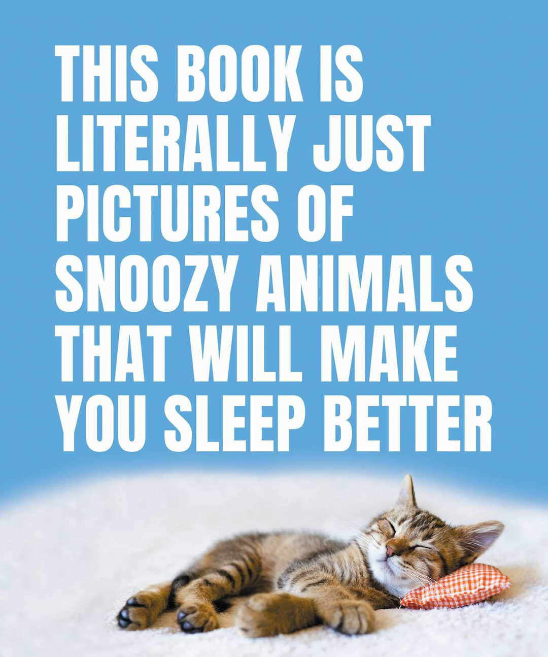 Pictures Of Snoozy Animals - Kingfisher Road - Online Boutique